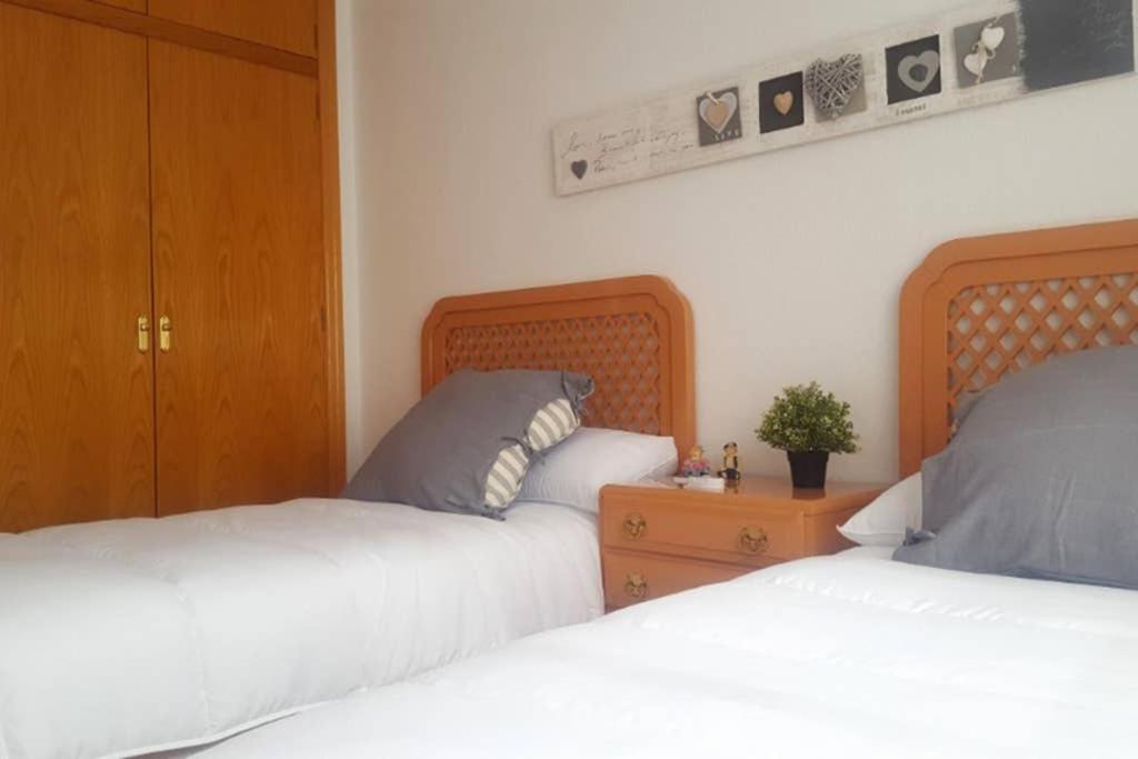 Encantador Apartamento En El Centro Διαμέρισμα Αλικάντε Εξωτερικό φωτογραφία